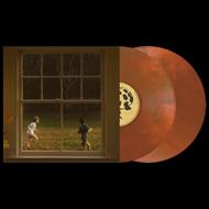 The Great Divide (American Rust Vinyl - 2 LP Colorato Standard)