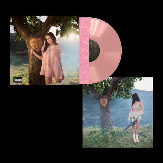 you seem pretty sad for a girl so in love (Esclusiva Feltrinelli e IBS.it - Pretty Sad Pink Vinyl) - Vinile LP di Olivia Rodrigo - 3