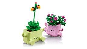 Lego Botanicals (11056). Piante dondolanti - 8